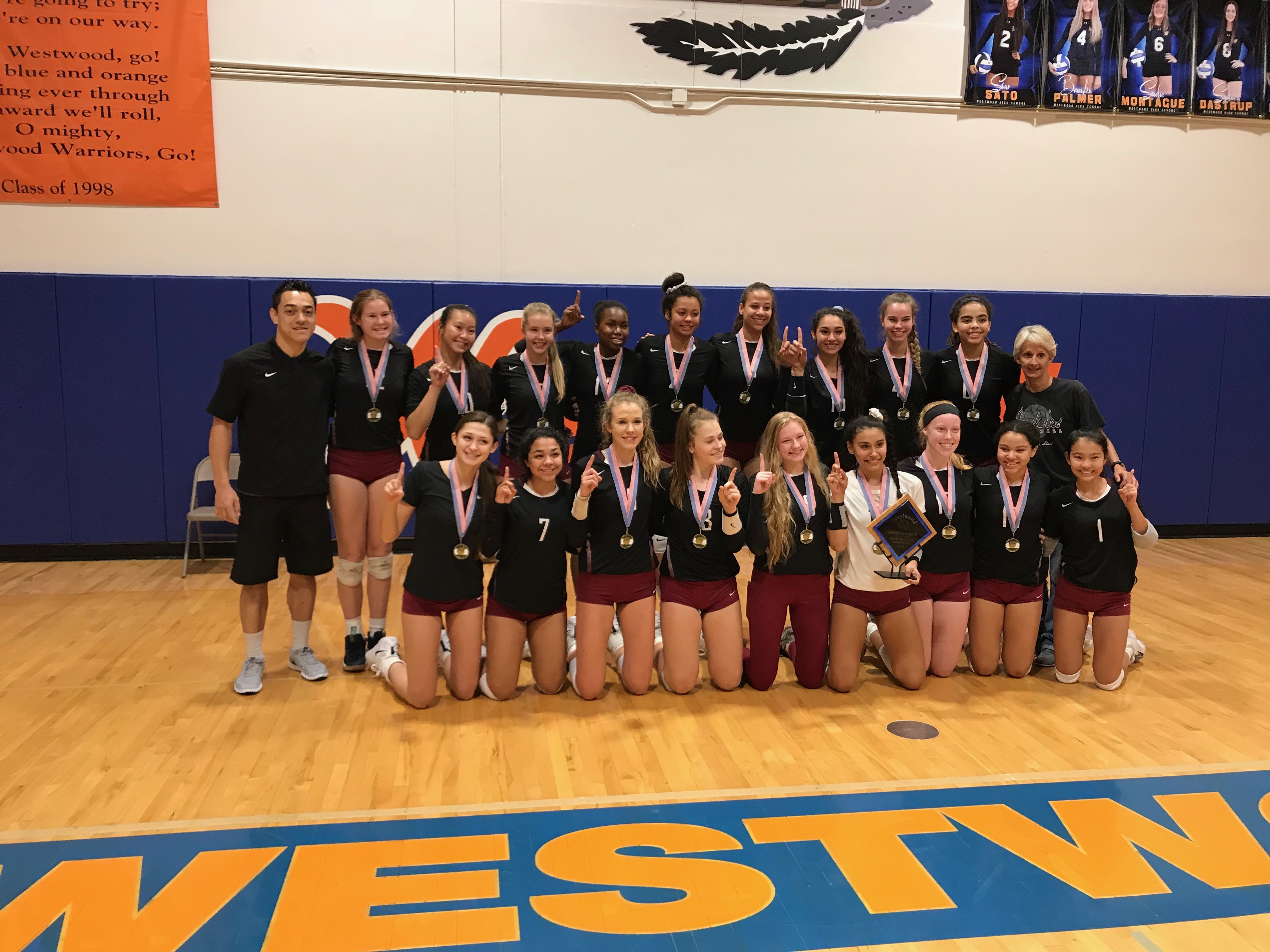 Volleyball Hamilton outlasts Perry for Westwood TOC crown AZPreps365